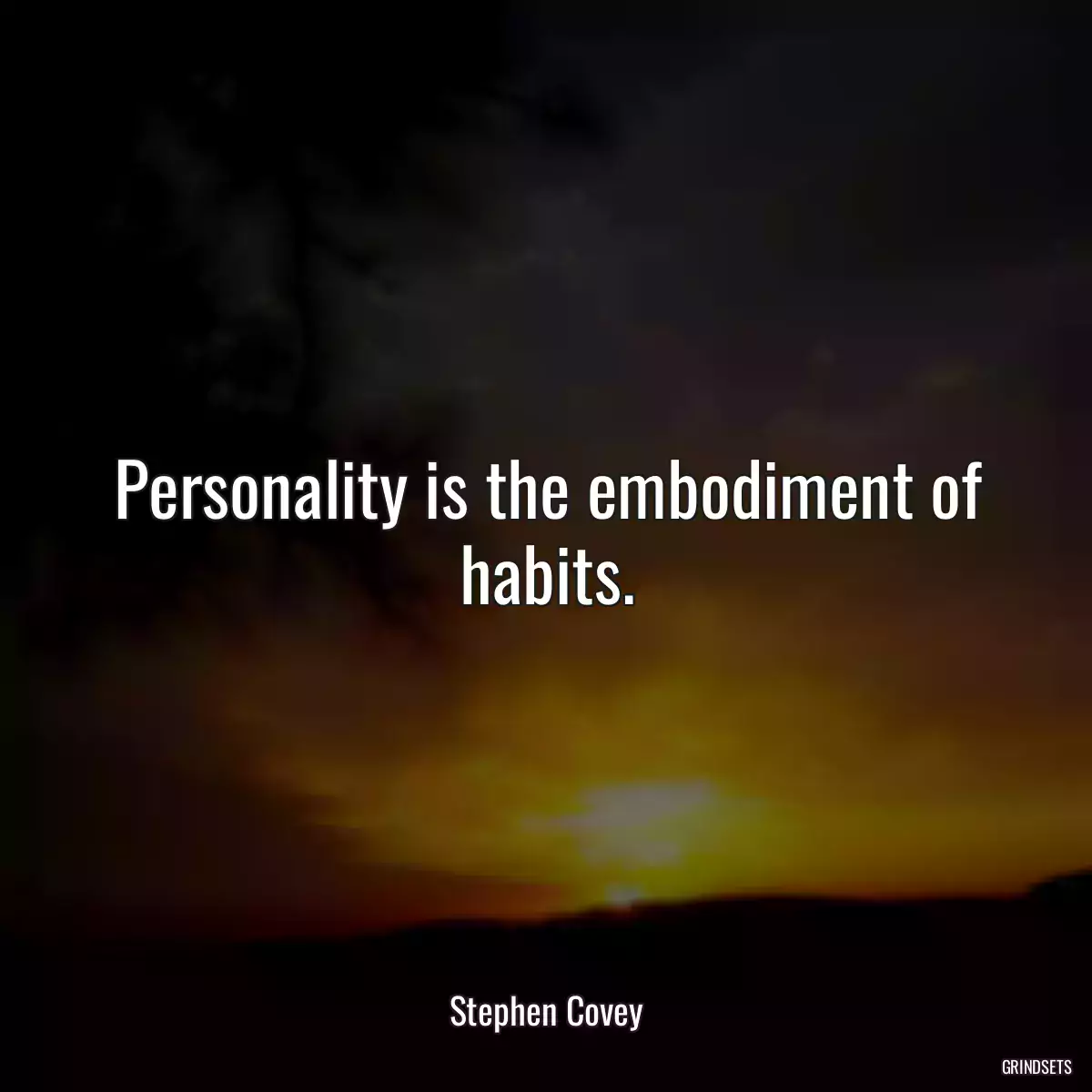 Personality is the embodiment of habits.