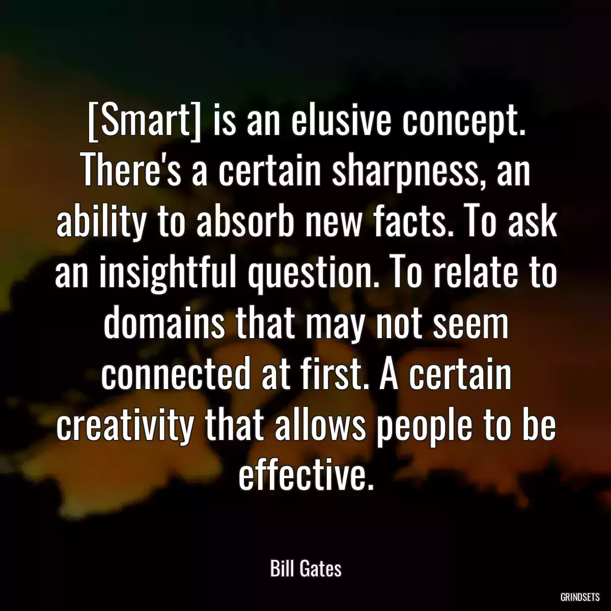 [Smart] is an elusive concept. There\'s a certain sharpness, an ability to absorb new facts. To ask an insightful question. To relate to domains that may not seem connected at first. A certain creativity that allows people to be effective.