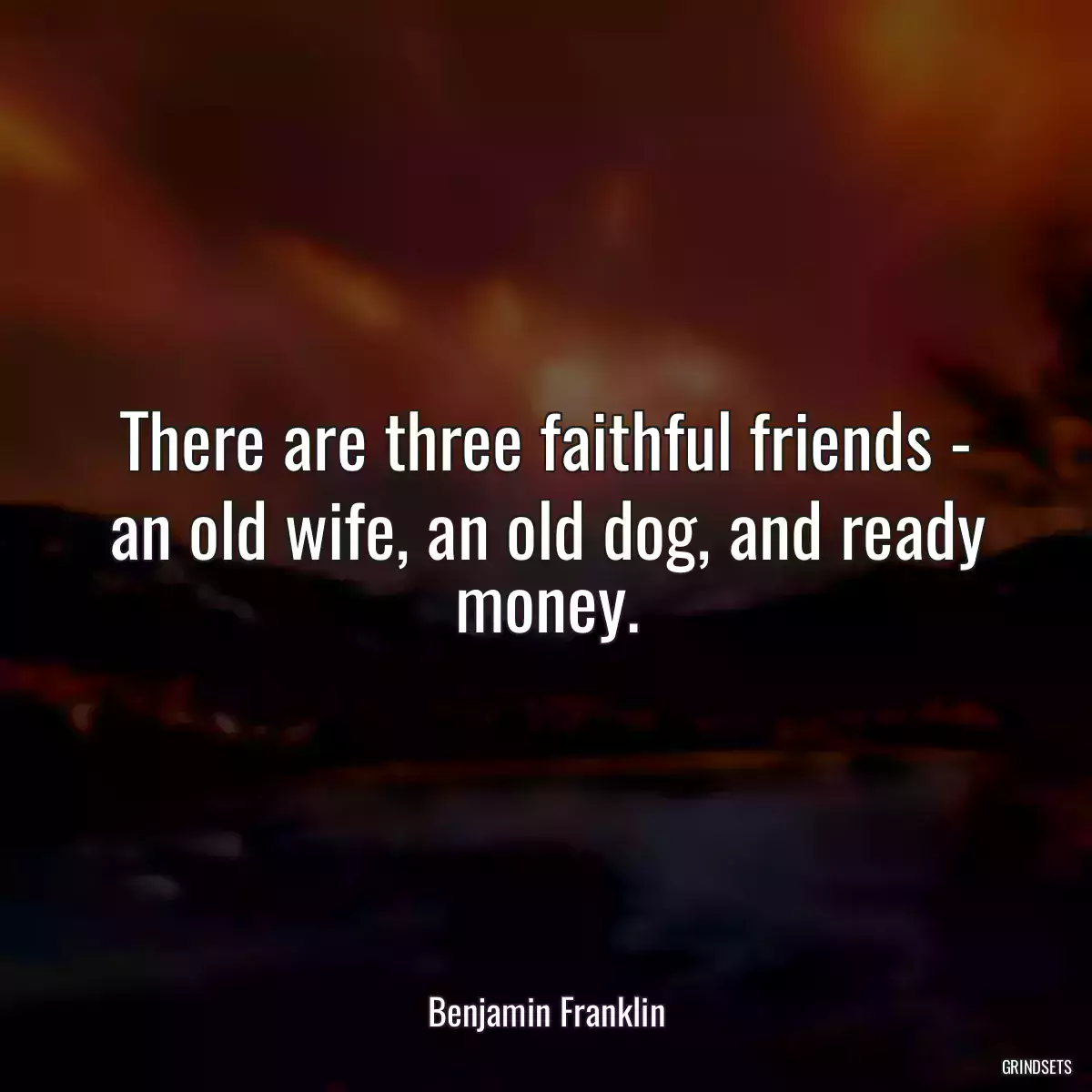 There are three faithful friends - an old wife, an old dog, and ready money.