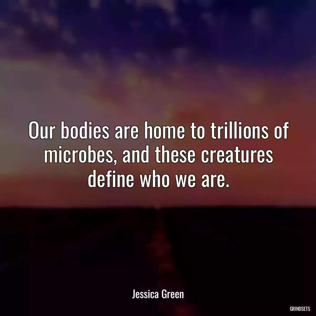 Our bodies are home to trillions of microbes, and these creatures define who we are.