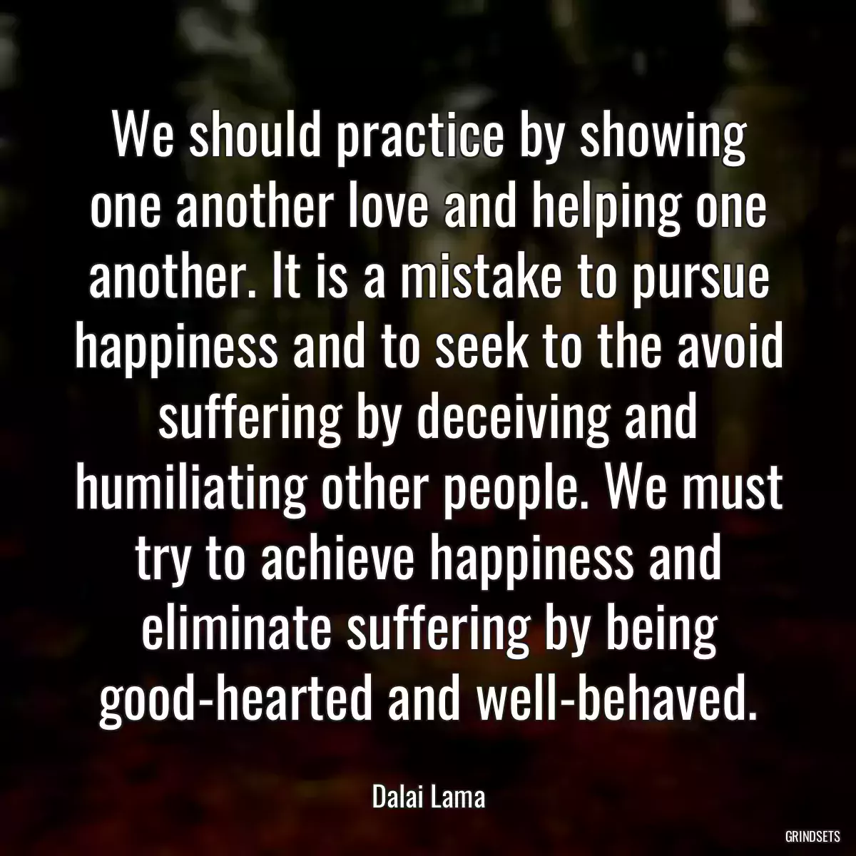 We should practice by showing one another love and helping one another. It is a mistake to pursue happiness and to seek to the avoid suffering by deceiving and humiliating other people. We must try to achieve happiness and eliminate suffering by being good-hearted and well-behaved.