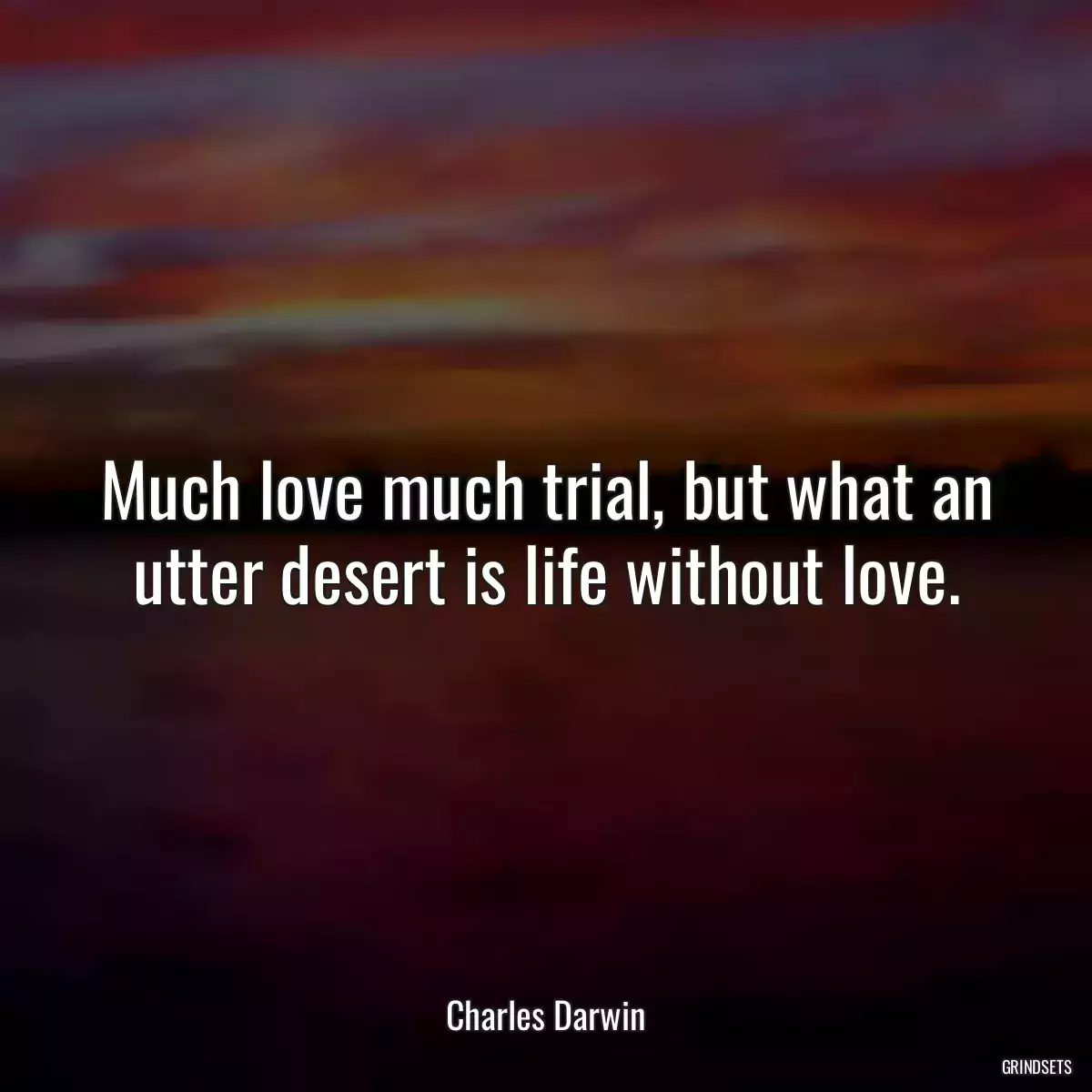 Much love much trial, but what an utter desert is life without love.