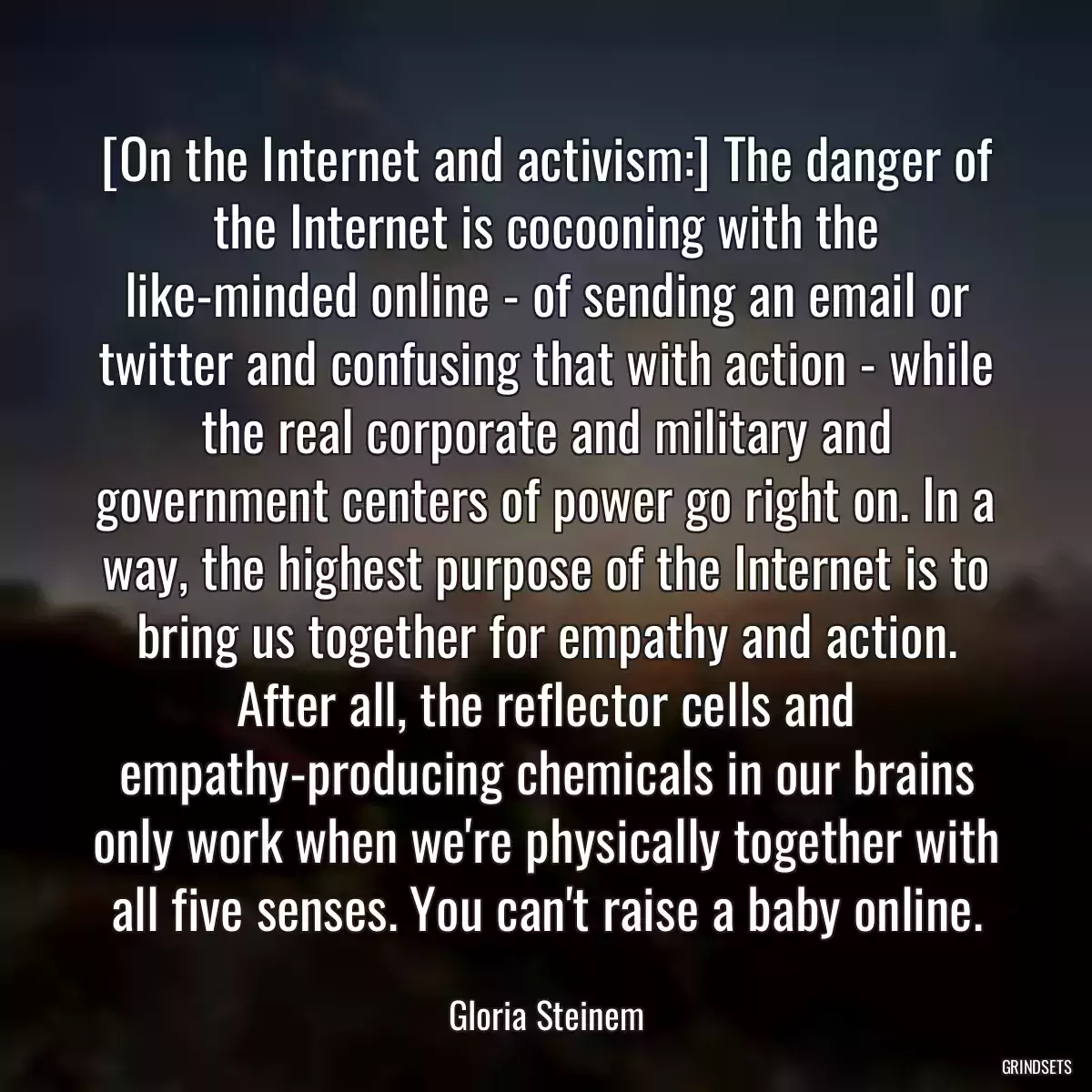 [On the Internet and activism:] The danger of the Internet is cocooning with the like-minded online - of sending an email or twitter and confusing that with action - while the real corporate and military and government centers of power go right on. In a way, the highest purpose of the Internet is to bring us together for empathy and action. After all, the reflector cells and empathy-producing chemicals in our brains only work when we\'re physically together with all five senses. You can\'t raise a baby online.