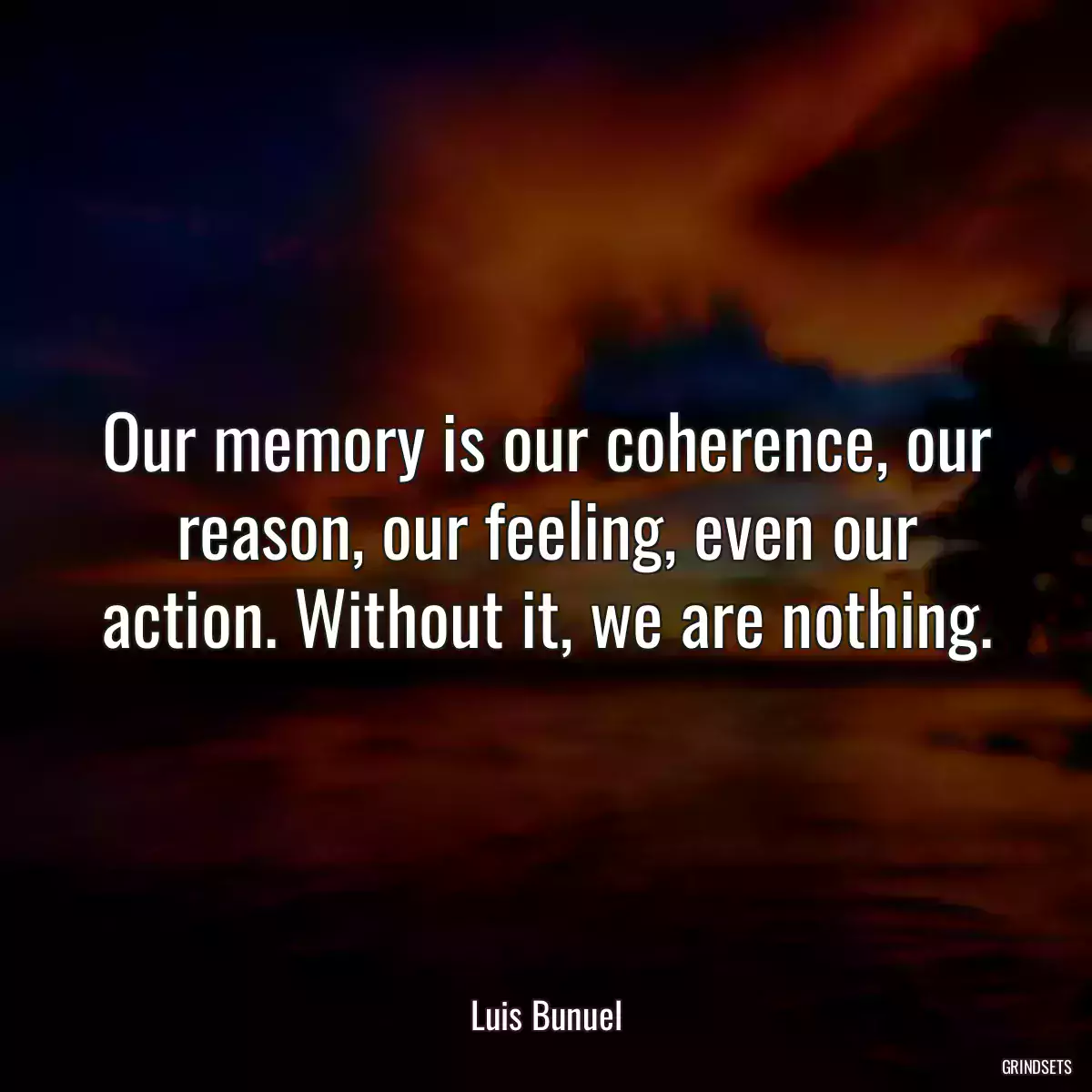 Our memory is our coherence, our reason, our feeling, even our action. Without it, we are nothing.