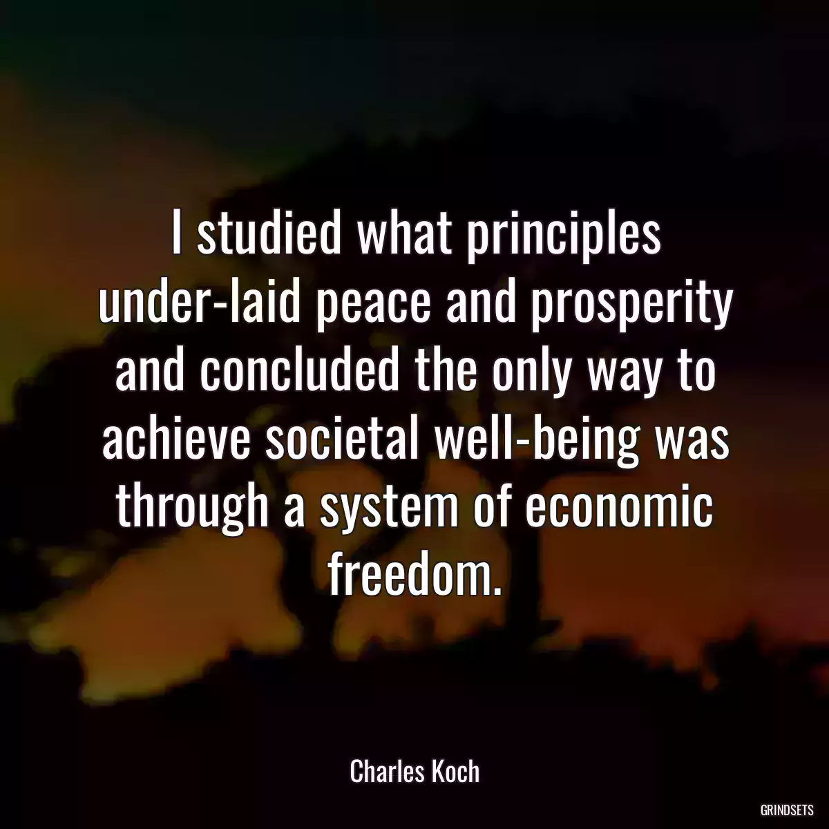 I studied what principles under-laid peace and prosperity and concluded the only way to achieve societal well-being was through a system of economic freedom.