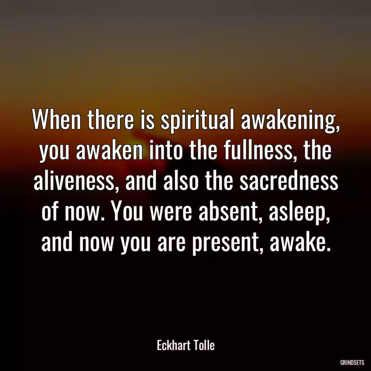 When there is spiritual awakening, you awaken into the fullness, the aliveness, and also the sacredness of now. You were absent, asleep, and now you are present, awake.