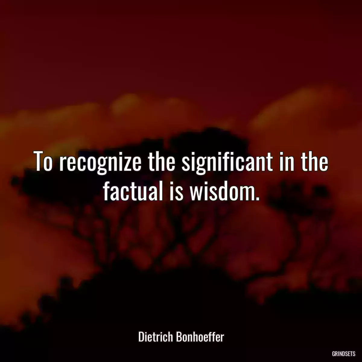 To recognize the significant in the factual is wisdom.