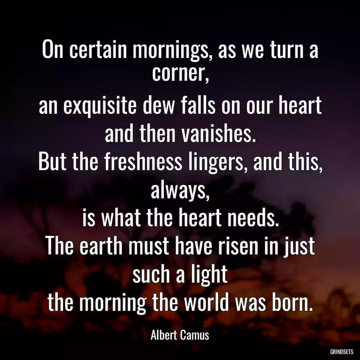 On certain mornings, as we turn a corner,
an exquisite dew falls on our heart
and then vanishes.
But the freshness lingers, and this, always,
is what the heart needs.
The earth must have risen in just such a light
the morning the world was born.