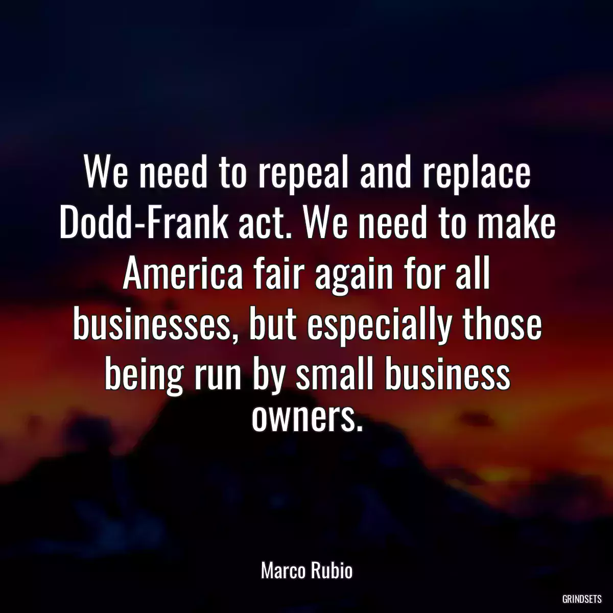 We need to repeal and replace Dodd-Frank act. We need to make America fair again for all businesses, but especially those being run by small business owners.