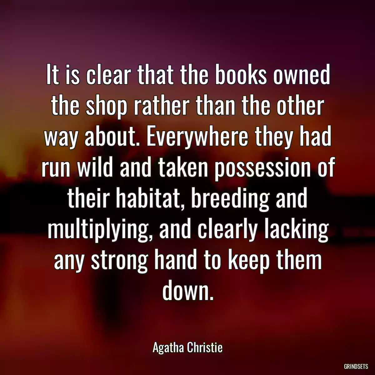 It is clear that the books owned the shop rather than the other way about. Everywhere they had run wild and taken possession of their habitat, breeding and multiplying, and clearly lacking any strong hand to keep them down.