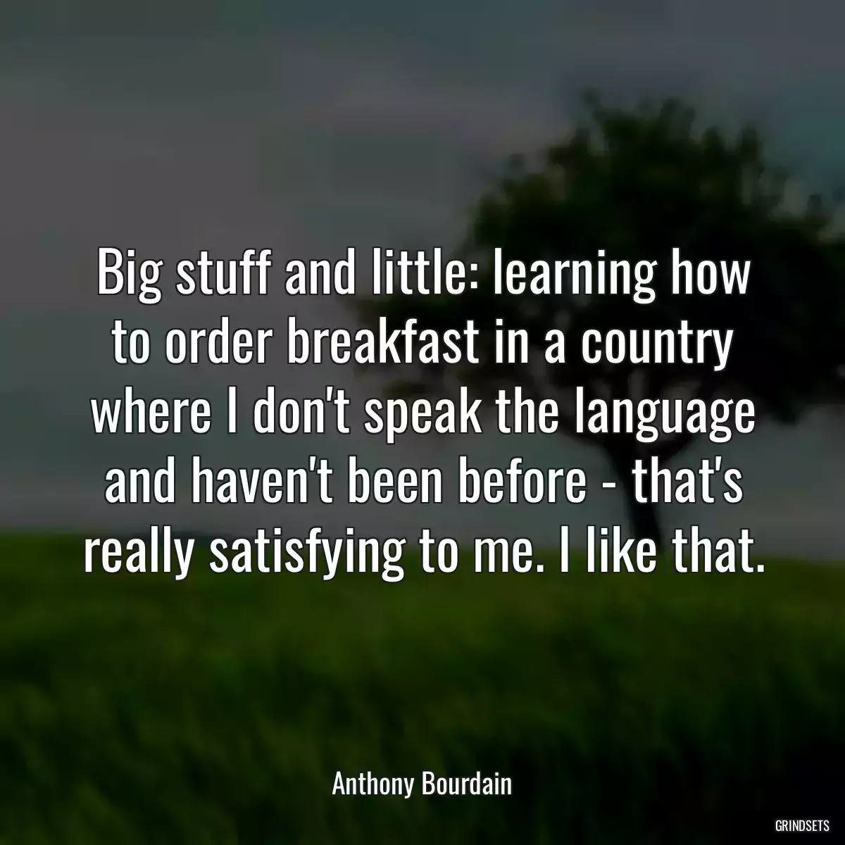 Big stuff and little: learning how to order breakfast in a country where I don\'t speak the language and haven\'t been before - that\'s really satisfying to me. I like that.