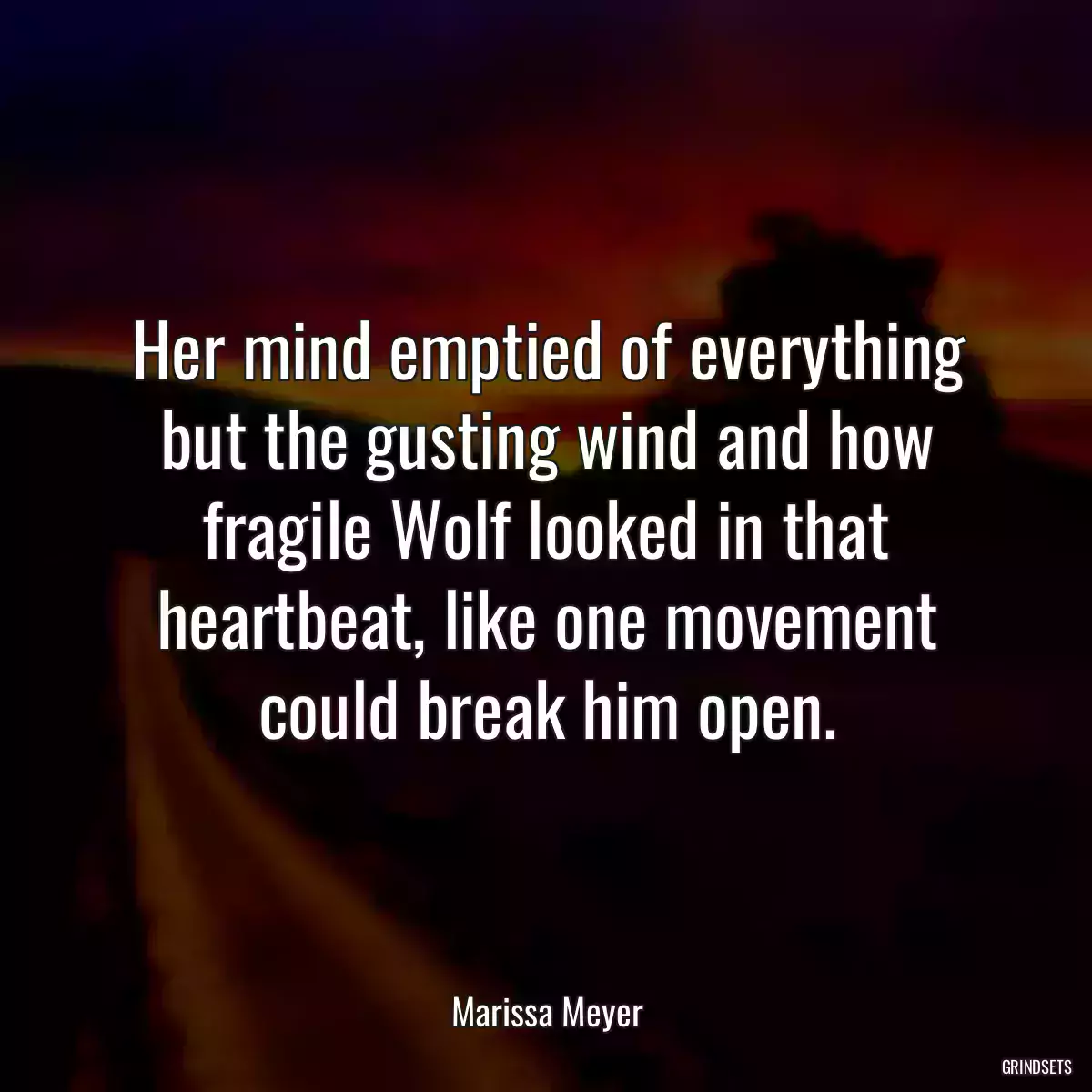 Her mind emptied of everything but the gusting wind and how fragile Wolf looked in that heartbeat, like one movement could break him open.