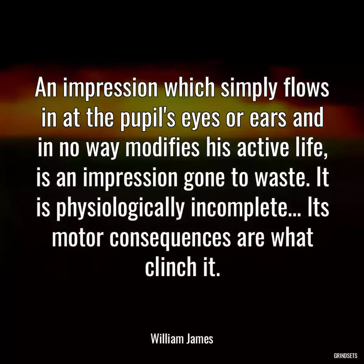 An impression which simply flows in at the pupil\'s eyes or ears and in no way modifies his active life, is an impression gone to waste. It is physiologically incomplete... Its motor consequences are what clinch it.