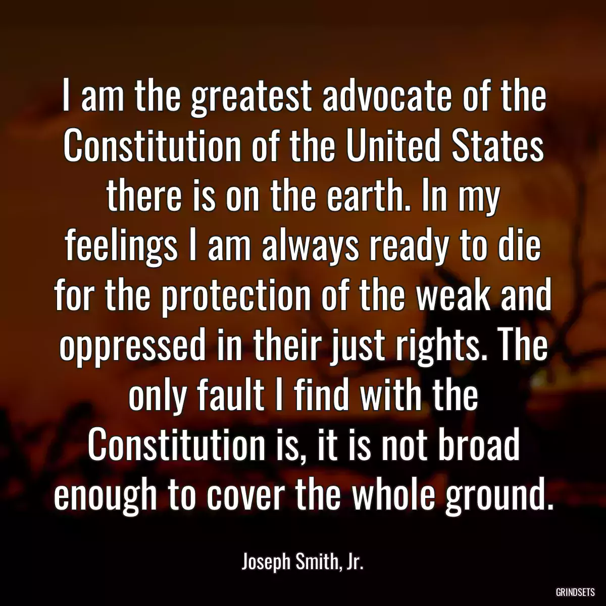 I am the greatest advocate of the Constitution of the United States there is on the earth. In my feelings I am always ready to die for the protection of the weak and oppressed in their just rights. The only fault I find with the Constitution is, it is not broad enough to cover the whole ground.