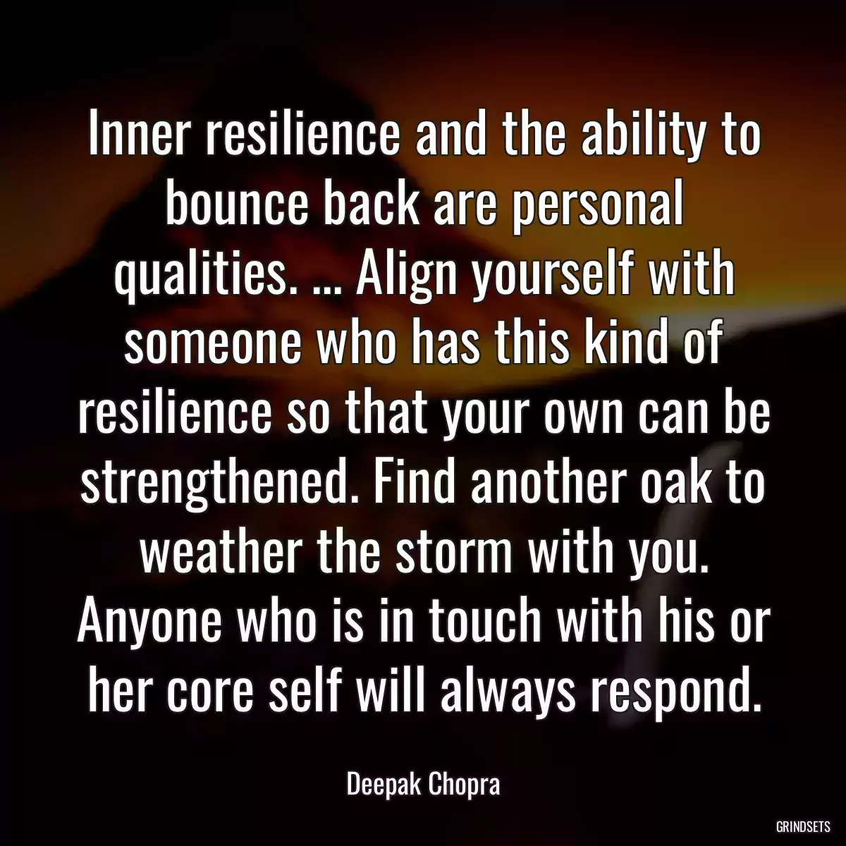 Inner resilience and the ability to bounce back are personal qualities. ... Align yourself with someone who has this kind of resilience so that your own can be strengthened. Find another oak to weather the storm with you. Anyone who is in touch with his or her core self will always respond.
