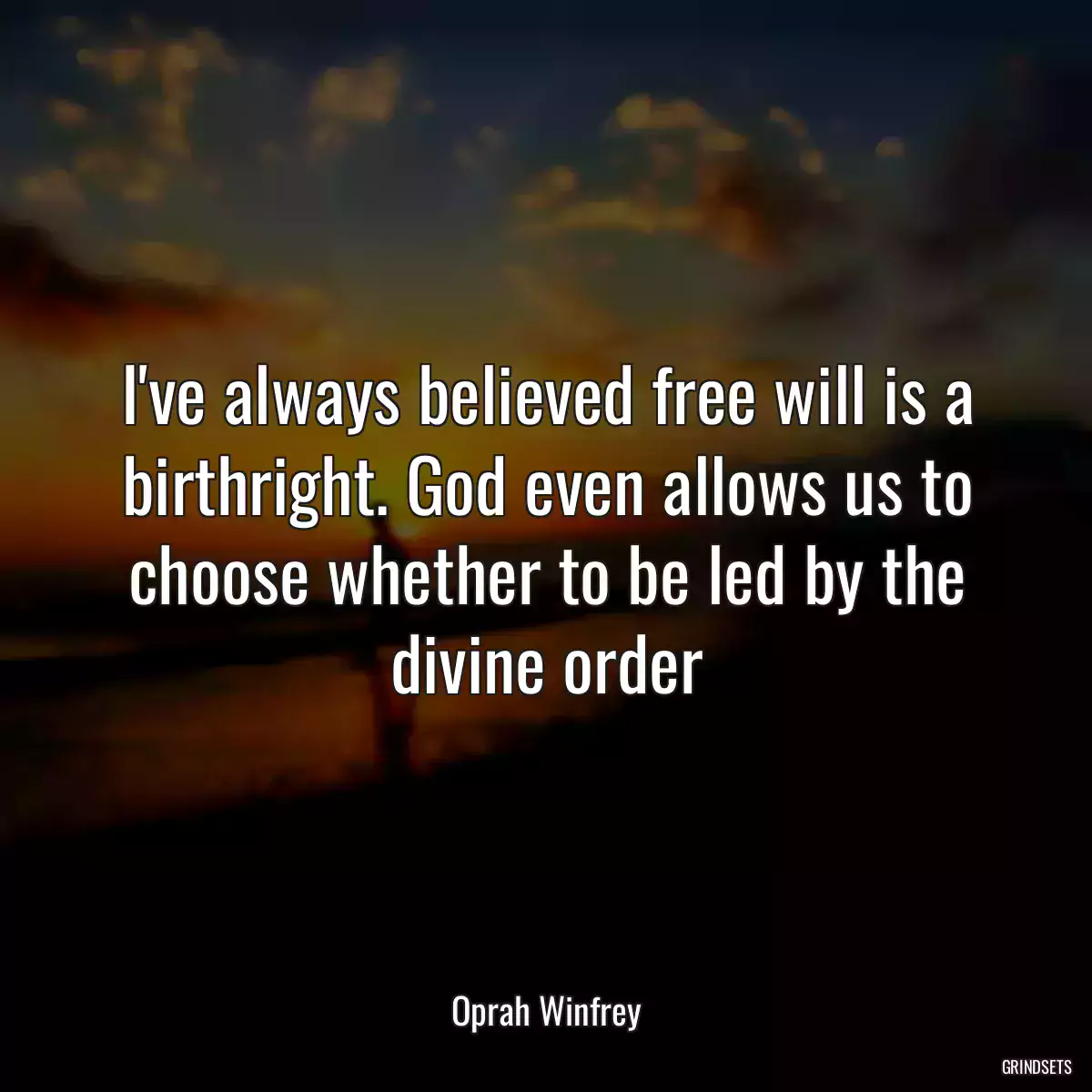 I\'ve always believed free will is a birthright. God even allows us to choose whether to be led by the divine order