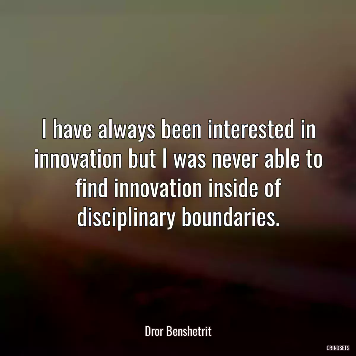 I have always been interested in innovation but I was never able to find innovation inside of disciplinary boundaries.