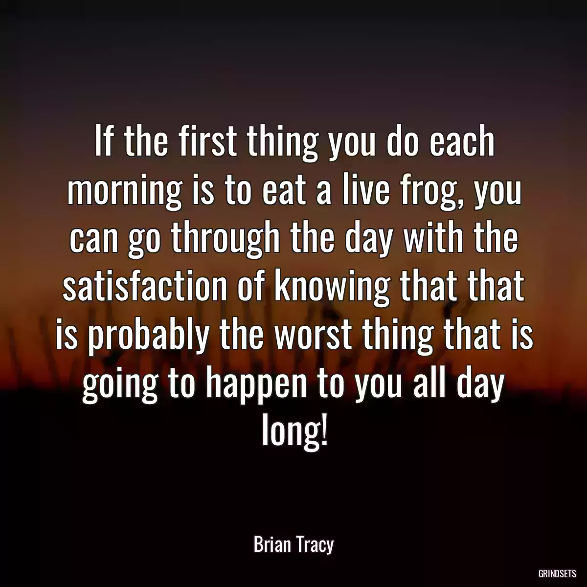 If the first thing you do each morning is to eat a live frog, you can go through the day with the satisfaction of knowing that that is probably the worst thing that is going to happen to you all day long!