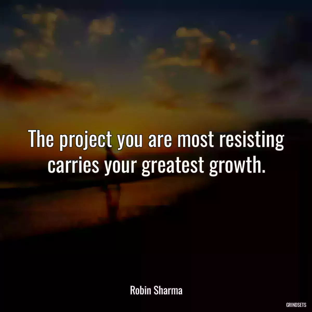 The project you are most resisting carries your greatest growth.