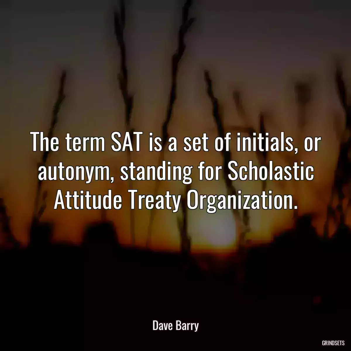 The term SAT is a set of initials, or autonym, standing for Scholastic Attitude Treaty Organization.