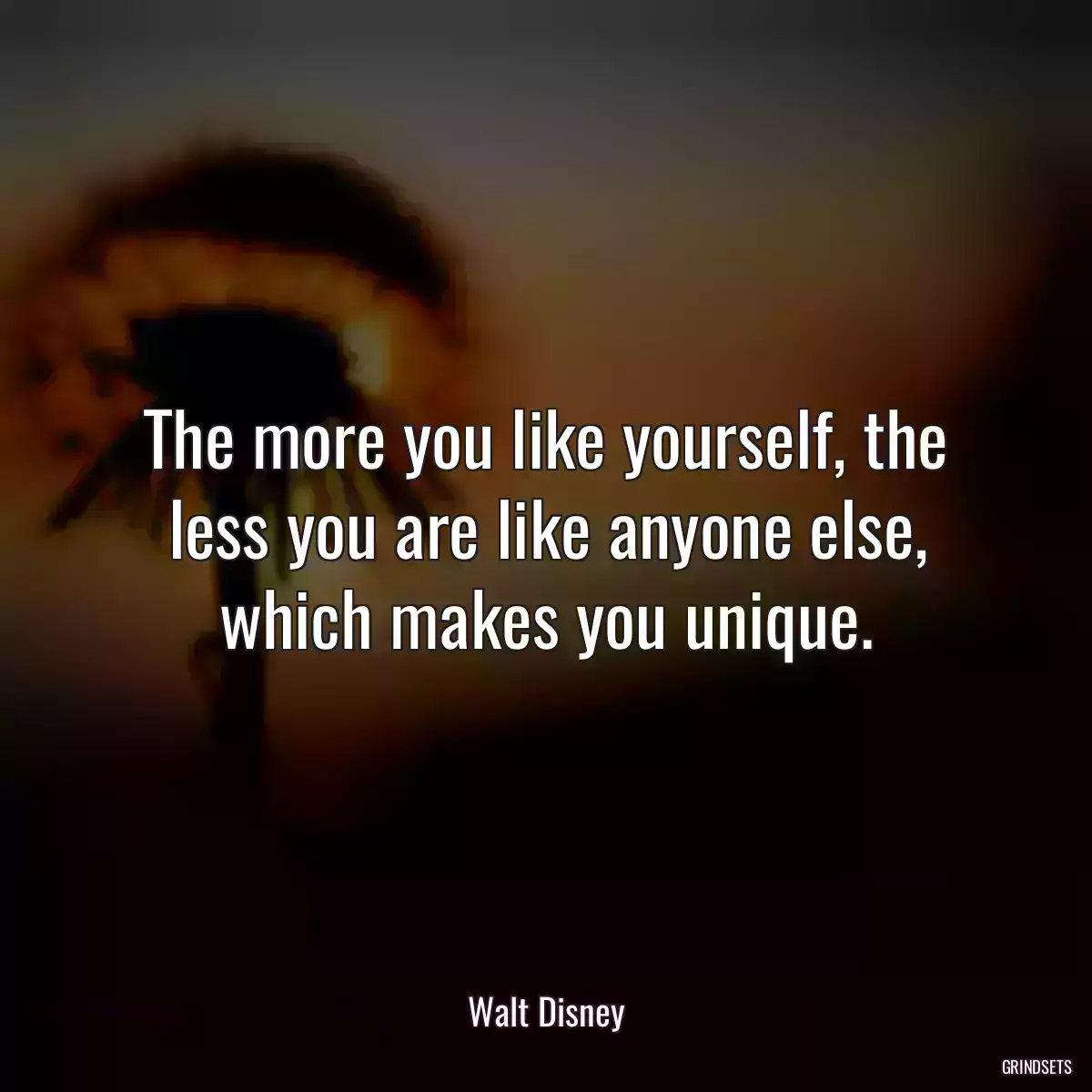 The more you like yourself, the less you are like anyone else, which makes you unique.