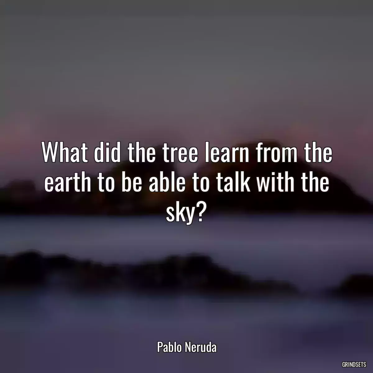 What did the tree learn from the earth to be able to talk with the sky?