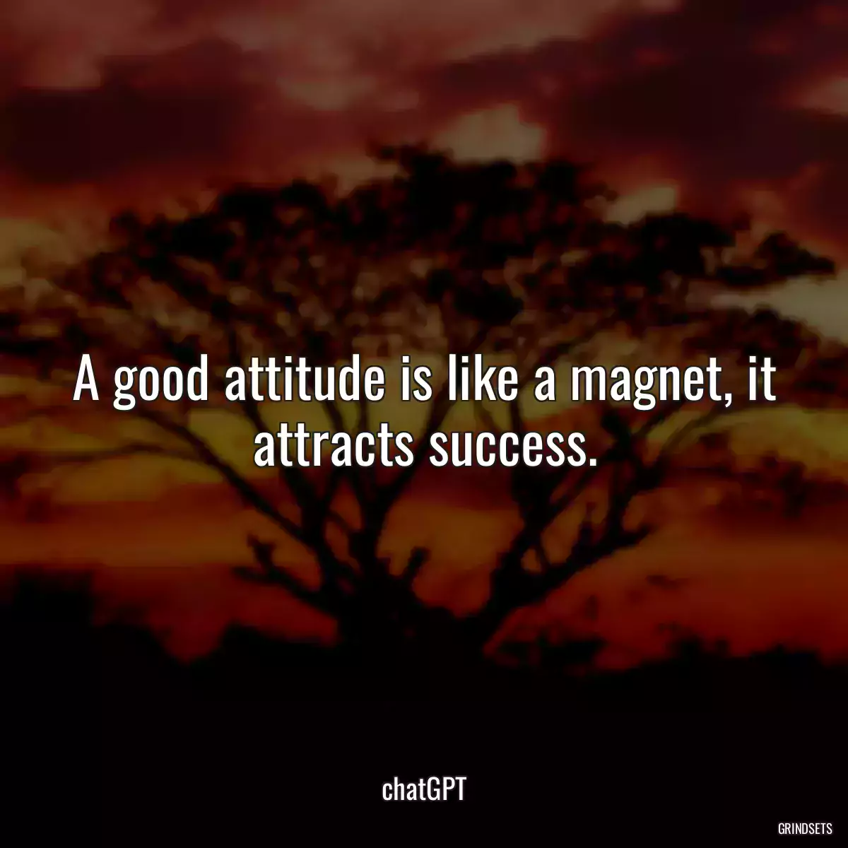 A good attitude is like a magnet, it attracts success.