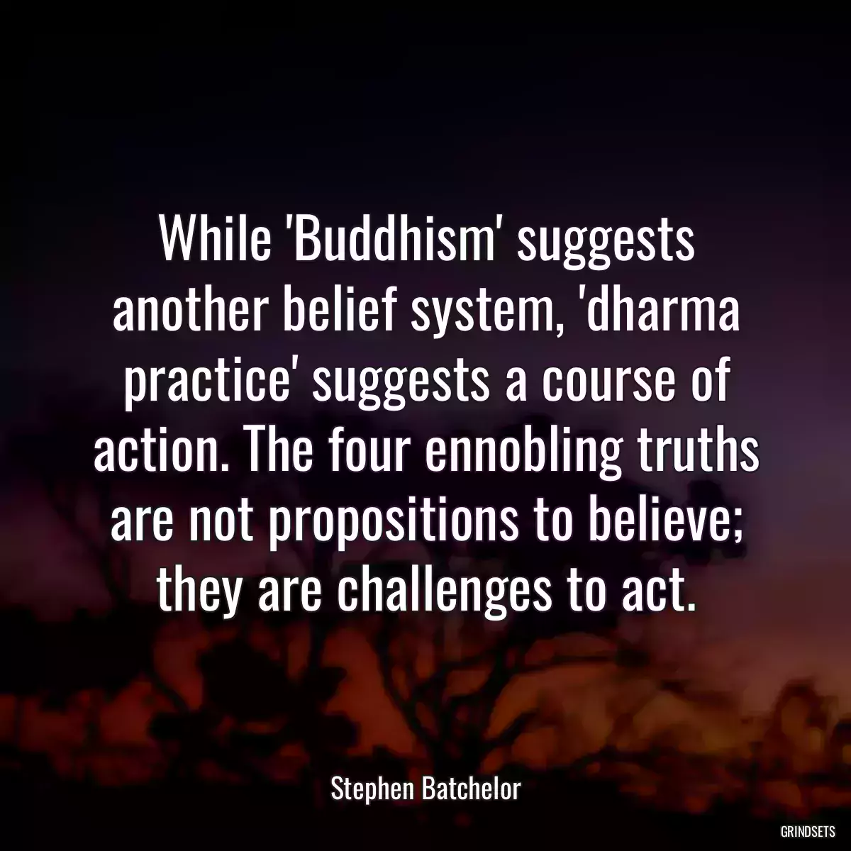 While \'Buddhism\' suggests another belief system, \'dharma practice\' suggests a course of action. The four ennobling truths are not propositions to believe; they are challenges to act.