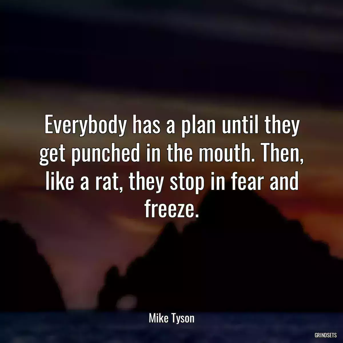 Everybody has a plan until they get punched in the mouth. Then, like a rat, they stop in fear and freeze.