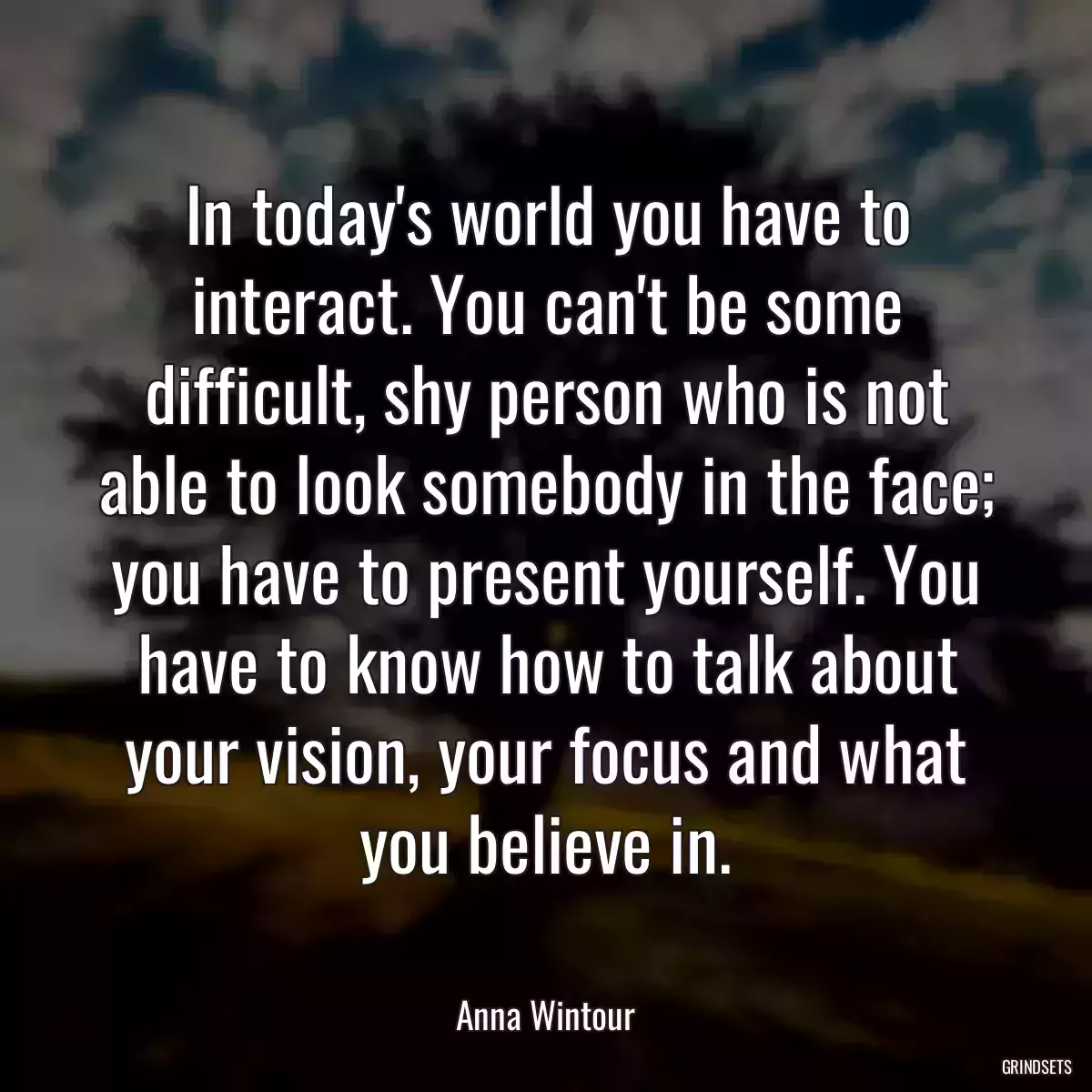 In today\'s world you have to interact. You can\'t be some difficult, shy person who is not able to look somebody in the face; you have to present yourself. You have to know how to talk about your vision, your focus and what you believe in.