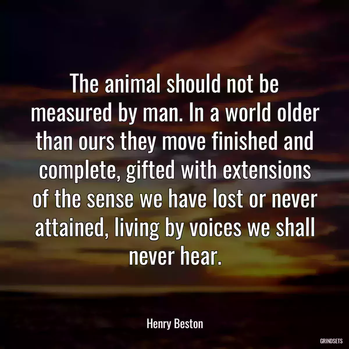 The animal should not be measured by man. In a world older than ours they move finished and complete, gifted with extensions of the sense we have lost or never attained, living by voices we shall never hear.