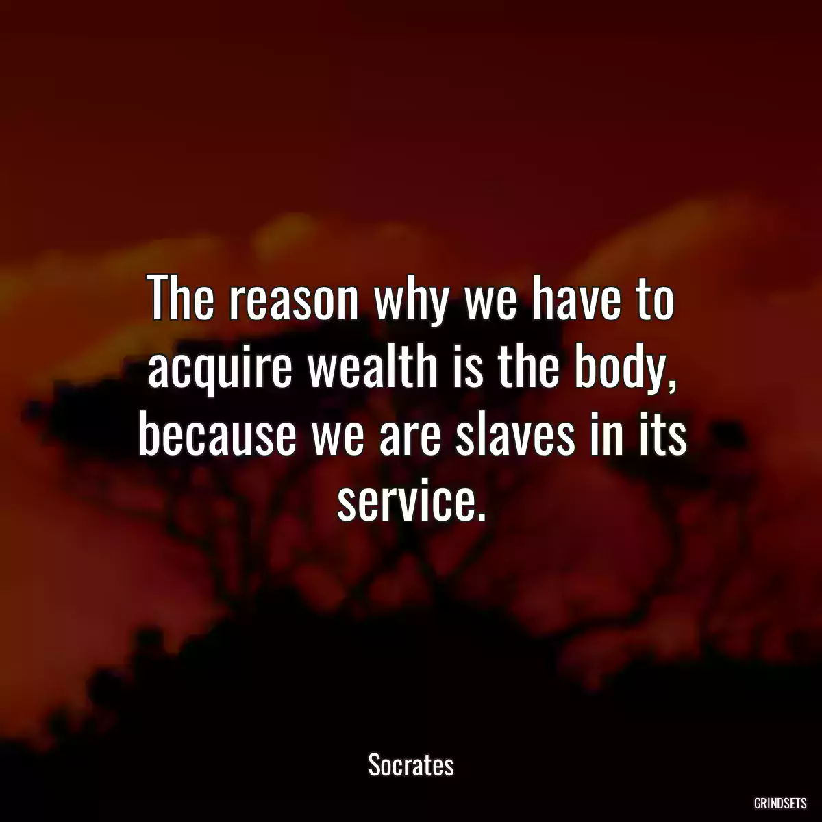 The reason why we have to acquire wealth is the body, because we are slaves in its service.