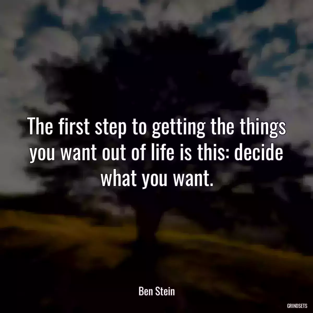 The first step to getting the things you want out of life is this: decide what you want.