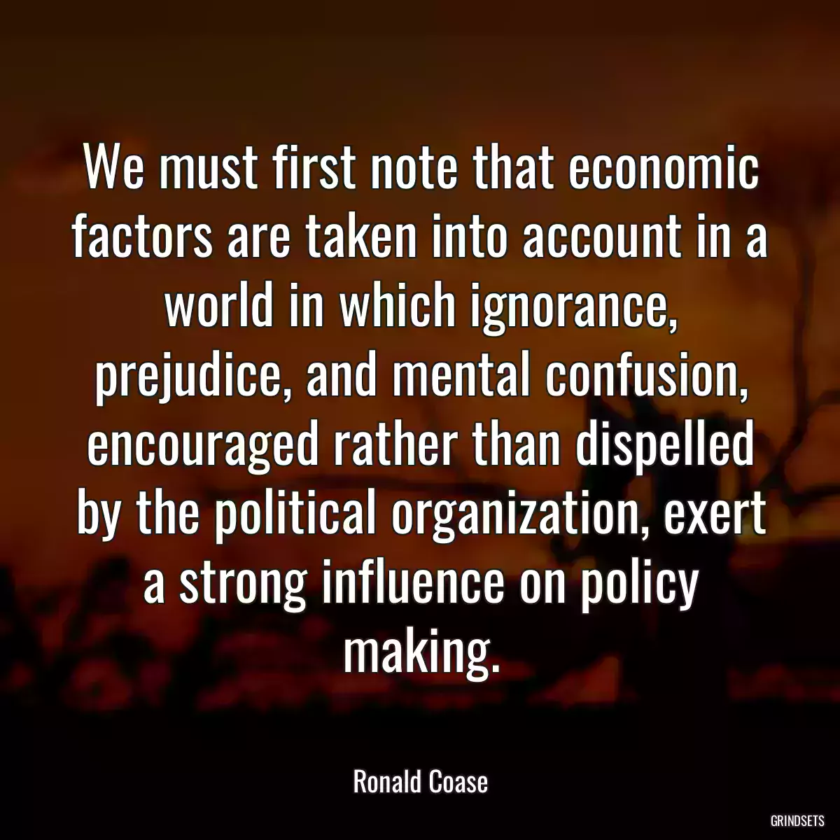 We must first note that economic factors are taken into account in a world in which ignorance, prejudice, and mental confusion, encouraged rather than dispelled by the political organization, exert a strong influence on policy making.