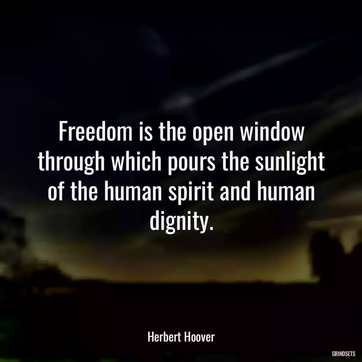 Freedom is the open window through which pours the sunlight of the human spirit and human dignity.