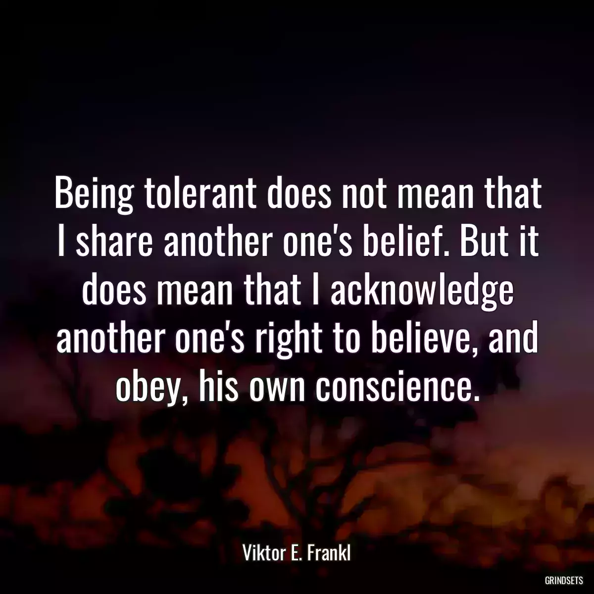 Being tolerant does not mean that I share another one\'s belief. But it does mean that I acknowledge another one\'s right to believe, and obey, his own conscience.