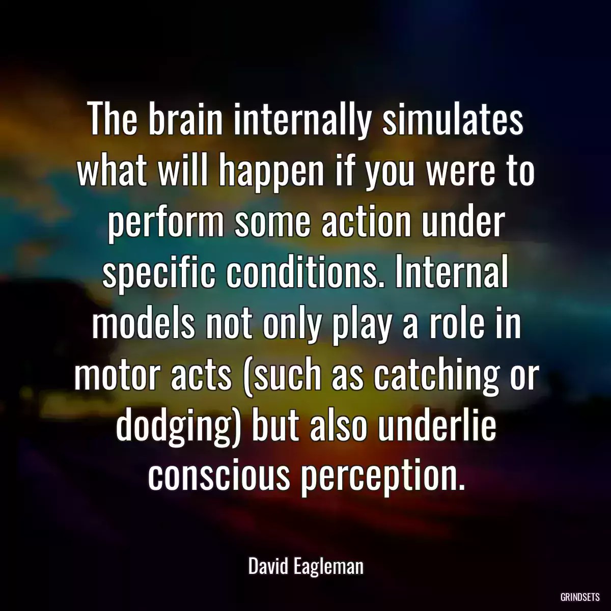 The brain internally simulates what will happen if you were to perform some action under specific conditions. Internal models not only play a role in motor acts (such as catching or dodging) but also underlie conscious perception.