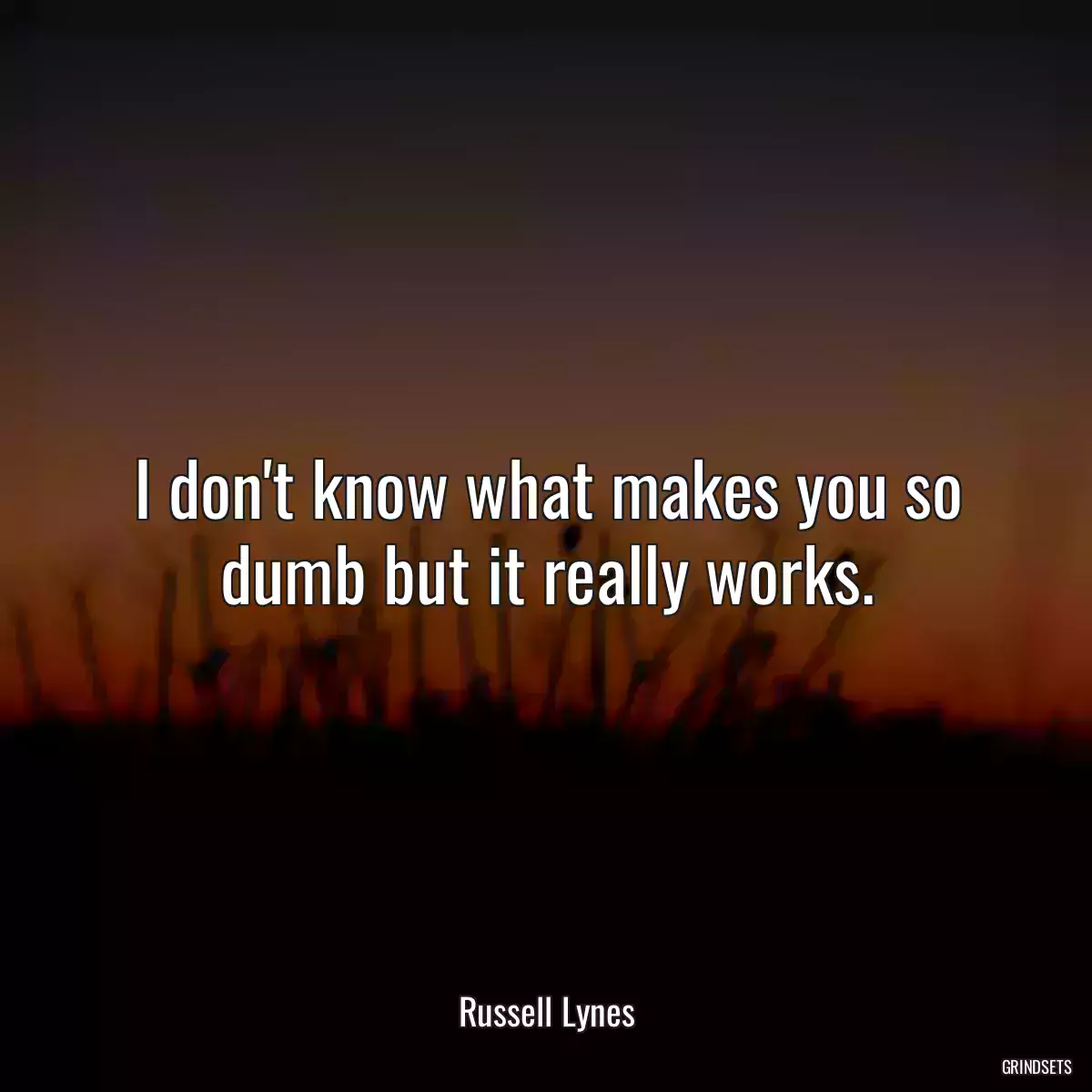 I don\'t know what makes you so dumb but it really works.