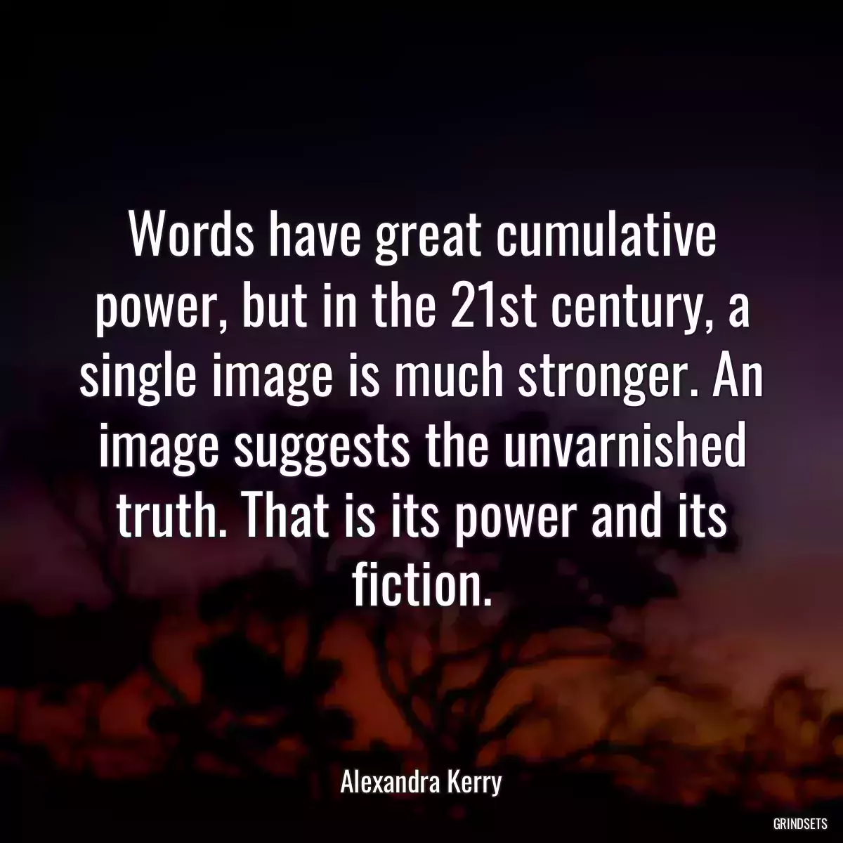 Words have great cumulative power, but in the 21st century, a single image is much stronger. An image suggests the unvarnished truth. That is its power and its fiction.