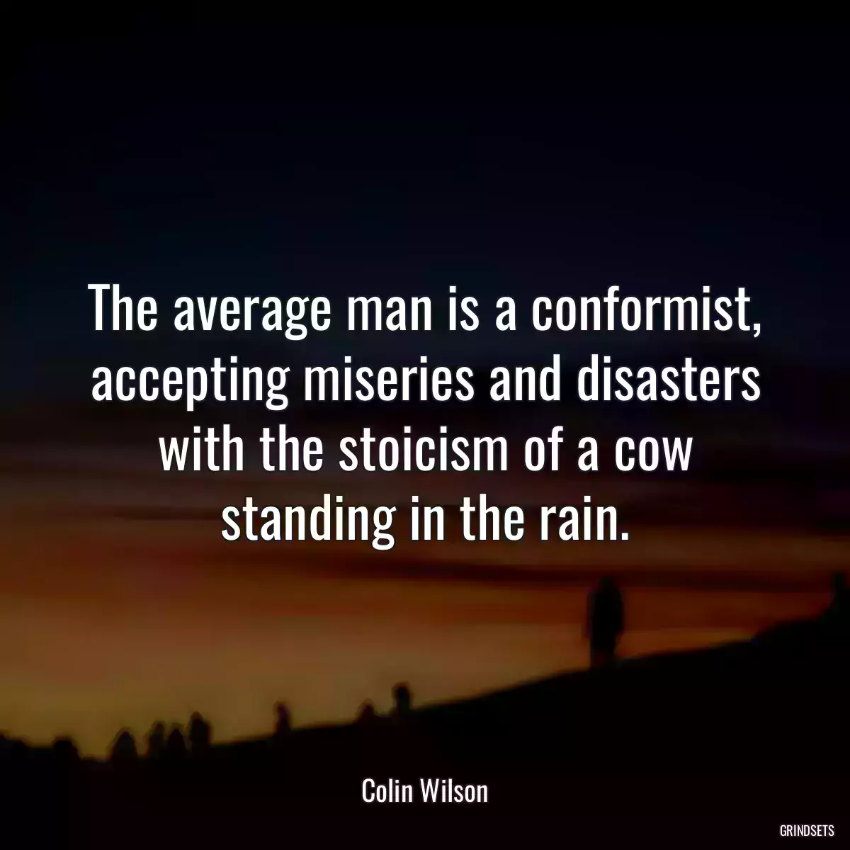 The average man is a conformist, accepting miseries and disasters with the stoicism of a cow standing in the rain.