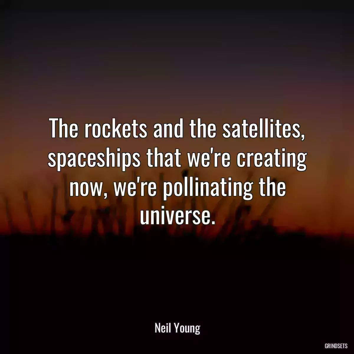 The rockets and the satellites, spaceships that we\'re creating now, we\'re pollinating the universe.