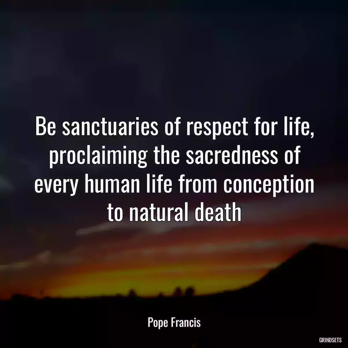 Be sanctuaries of respect for life, proclaiming the sacredness of every human life from conception to natural death