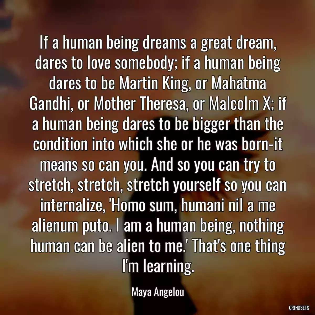 If a human being dreams a great dream, dares to love somebody; if a human being dares to be Martin King, or Mahatma Gandhi, or Mother Theresa, or Malcolm X; if a human being dares to be bigger than the condition into which she or he was born-it means so can you. And so you can try to stretch, stretch, stretch yourself so you can internalize, \'Homo sum, humani nil a me alienum puto. I am a human being, nothing human can be alien to me.\' That\'s one thing I\'m learning.