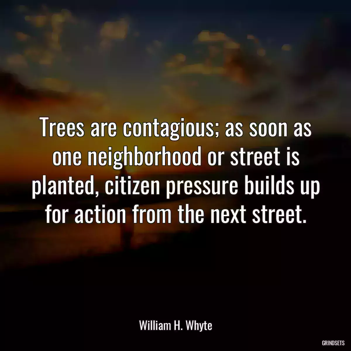 Trees are contagious; as soon as one neighborhood or street is planted, citizen pressure builds up for action from the next street.