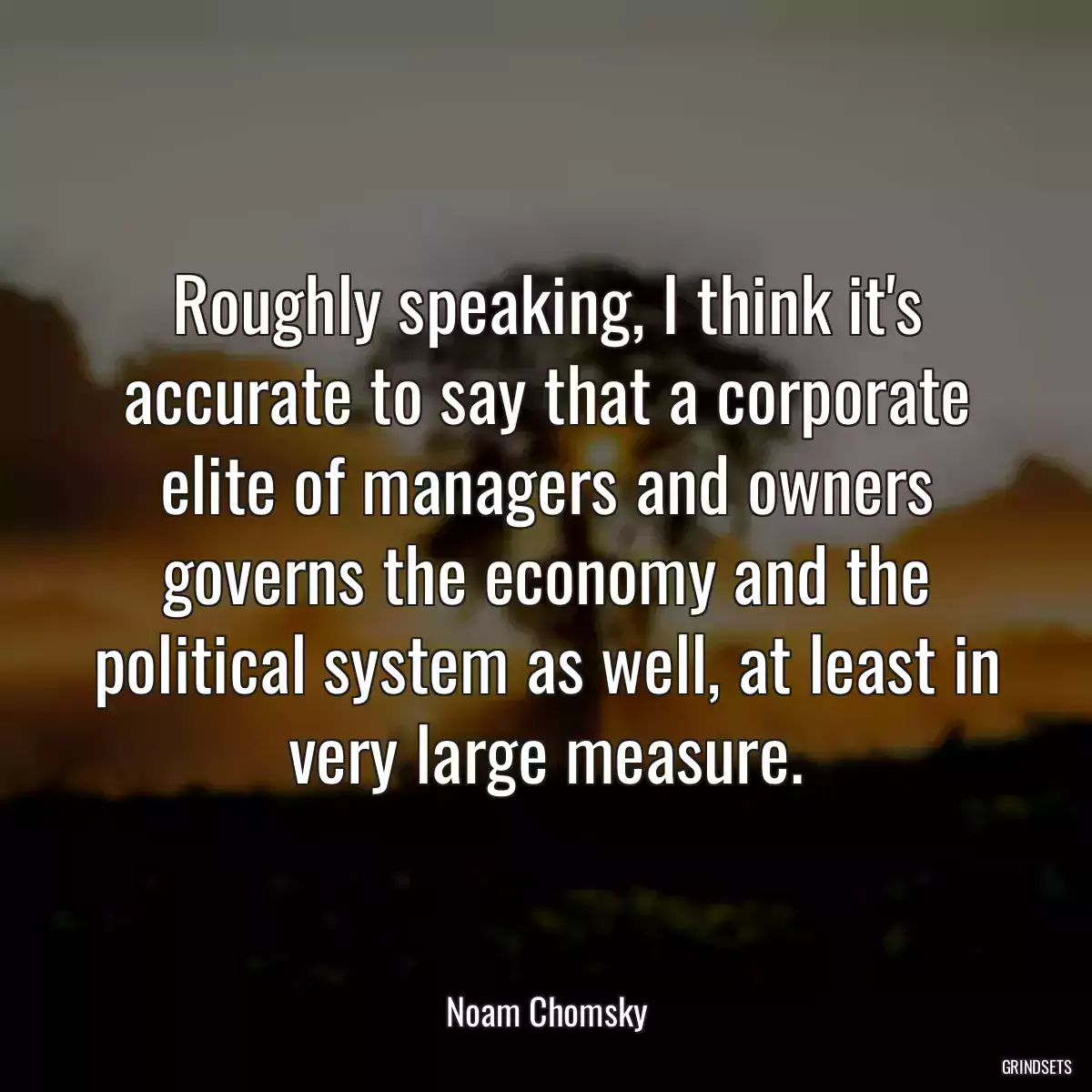 Roughly speaking, I think it\'s accurate to say that a corporate elite of managers and owners governs the economy and the political system as well, at least in very large measure.