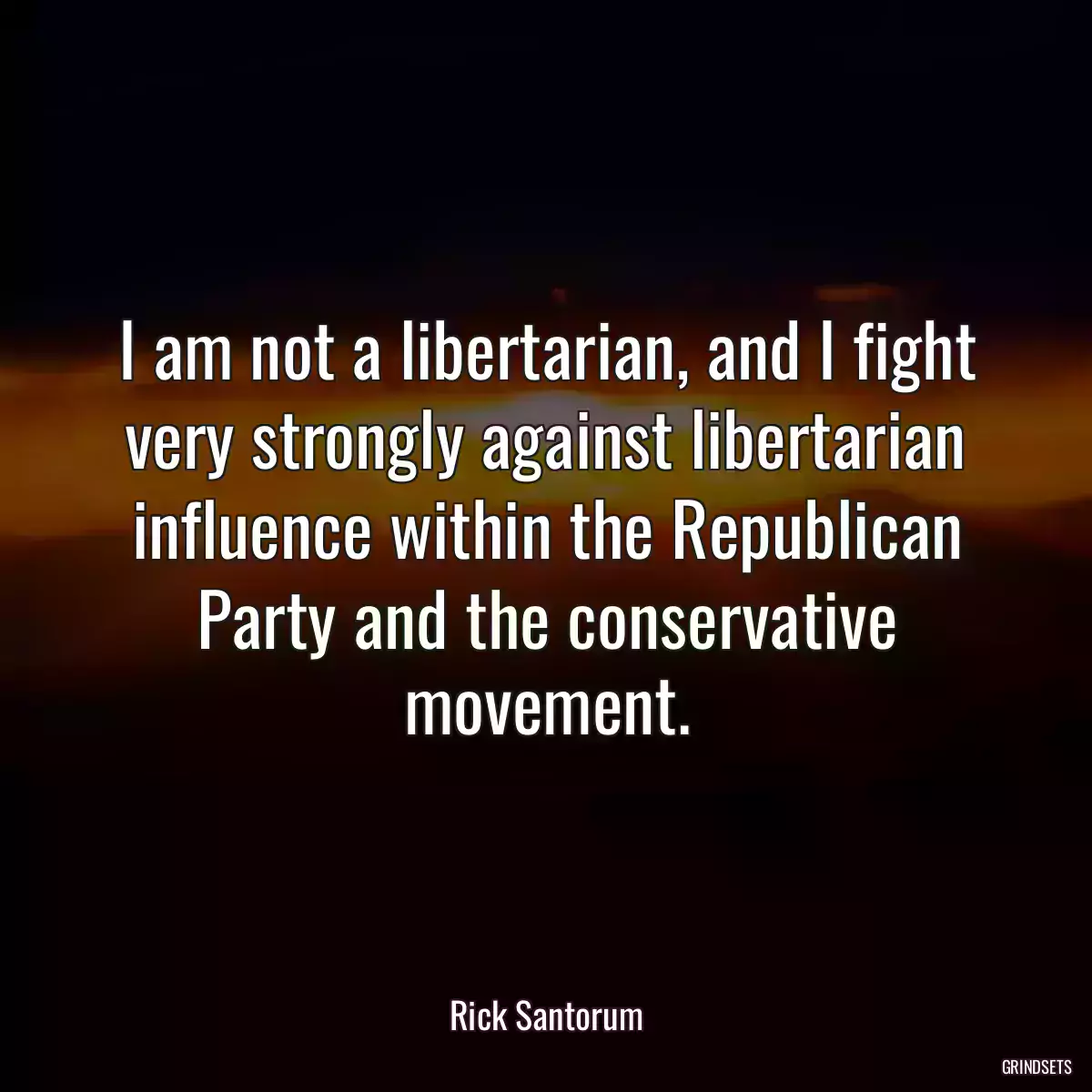 I am not a libertarian, and I fight very strongly against libertarian influence within the Republican Party and the conservative movement.