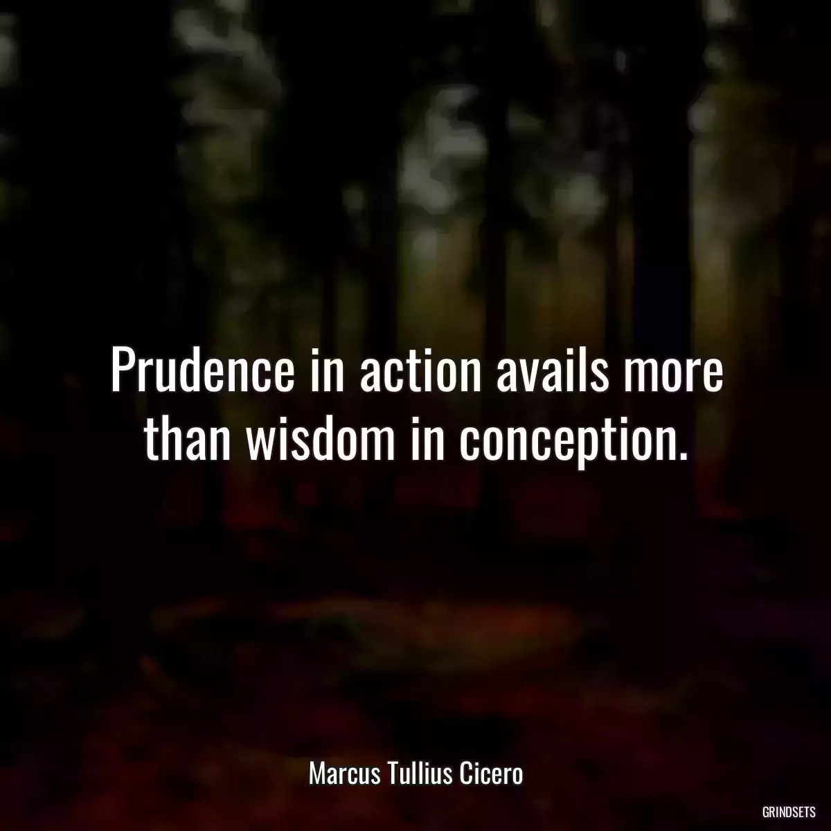 Prudence in action avails more than wisdom in conception.