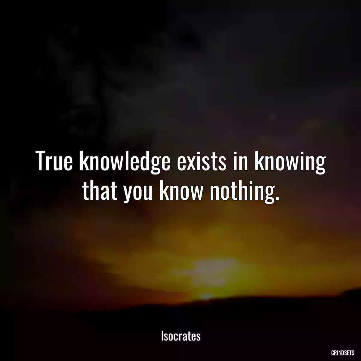 True knowledge exists in knowing that you know nothing.