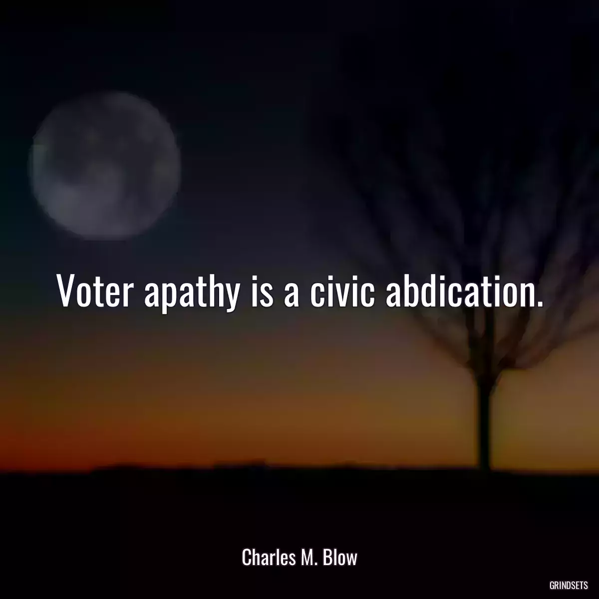 Voter apathy is a civic abdication.