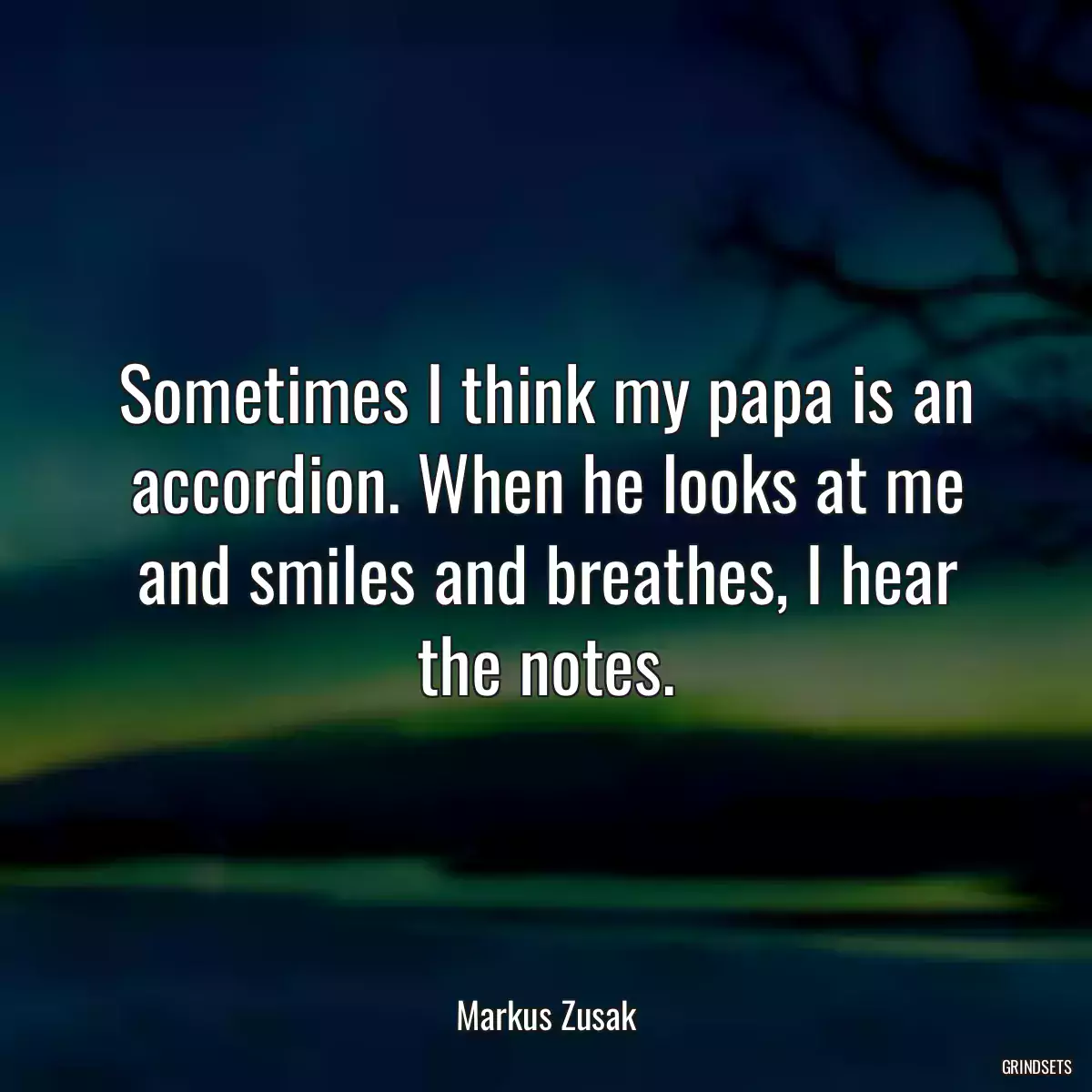 Sometimes I think my papa is an accordion. When he looks at me and smiles and breathes, I hear the notes.